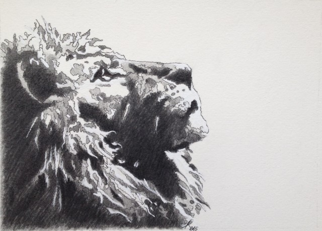 "Cuor di Leone"
Maggio 2015
Penna gel e tecnica mista su carta 
20 x 30 cm