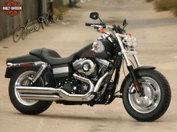 Harley Davidson a colori